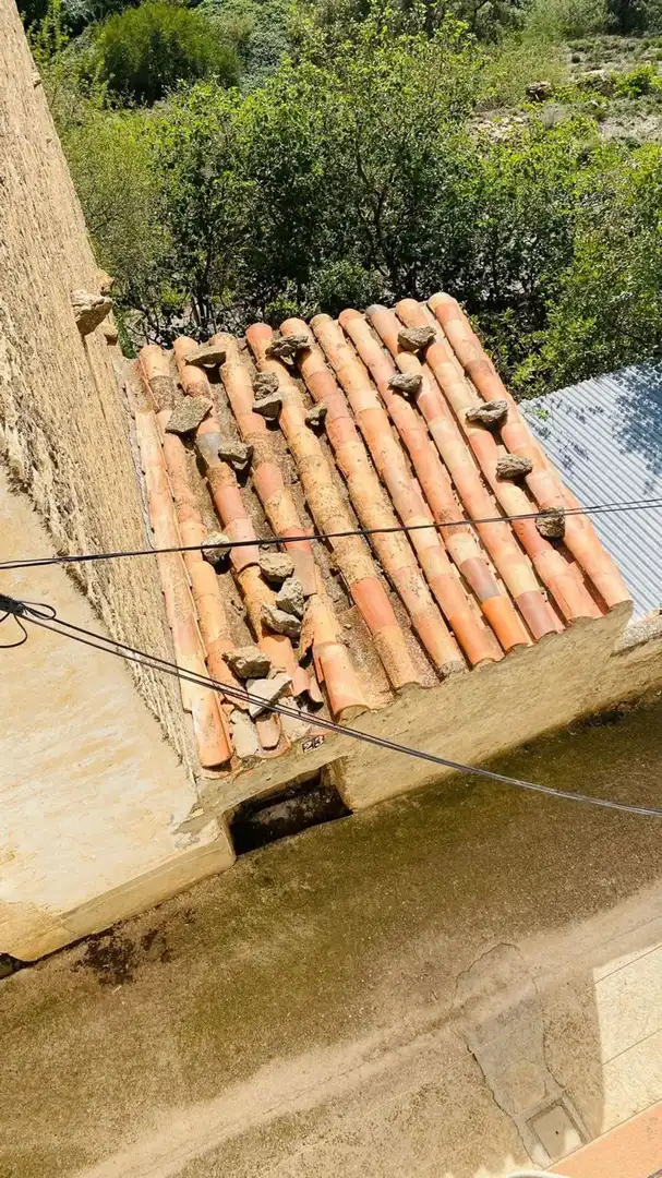 Vista exterior de Casa o xalet en venda en Villafranca del Cid / Vilafranca amb Jardí privat i Traster