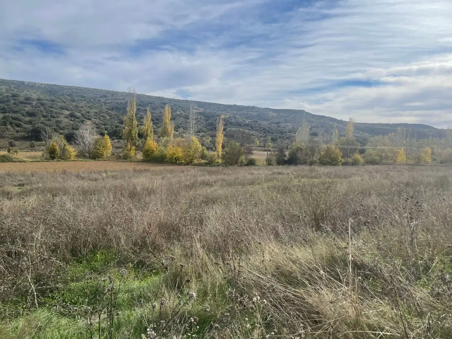 Rural land for sale in Orusco de Tajuña, imagen 5