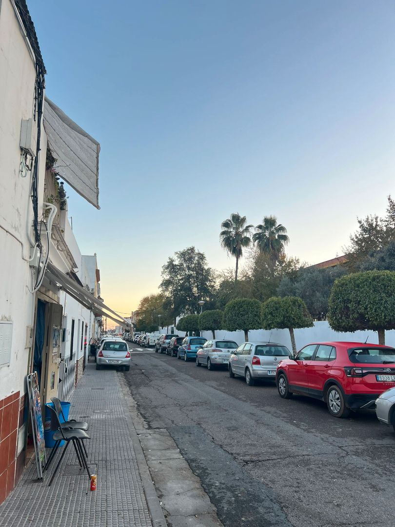 Exterior view of Industrial buildings for sale in Los Palacios y Villafranca