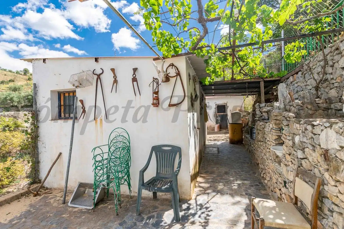 Casa con jardín en venta en Cómpeta