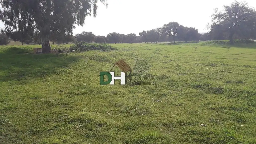 Terrenys i solars en venda a Santa María  - Pío XII, imagen 10