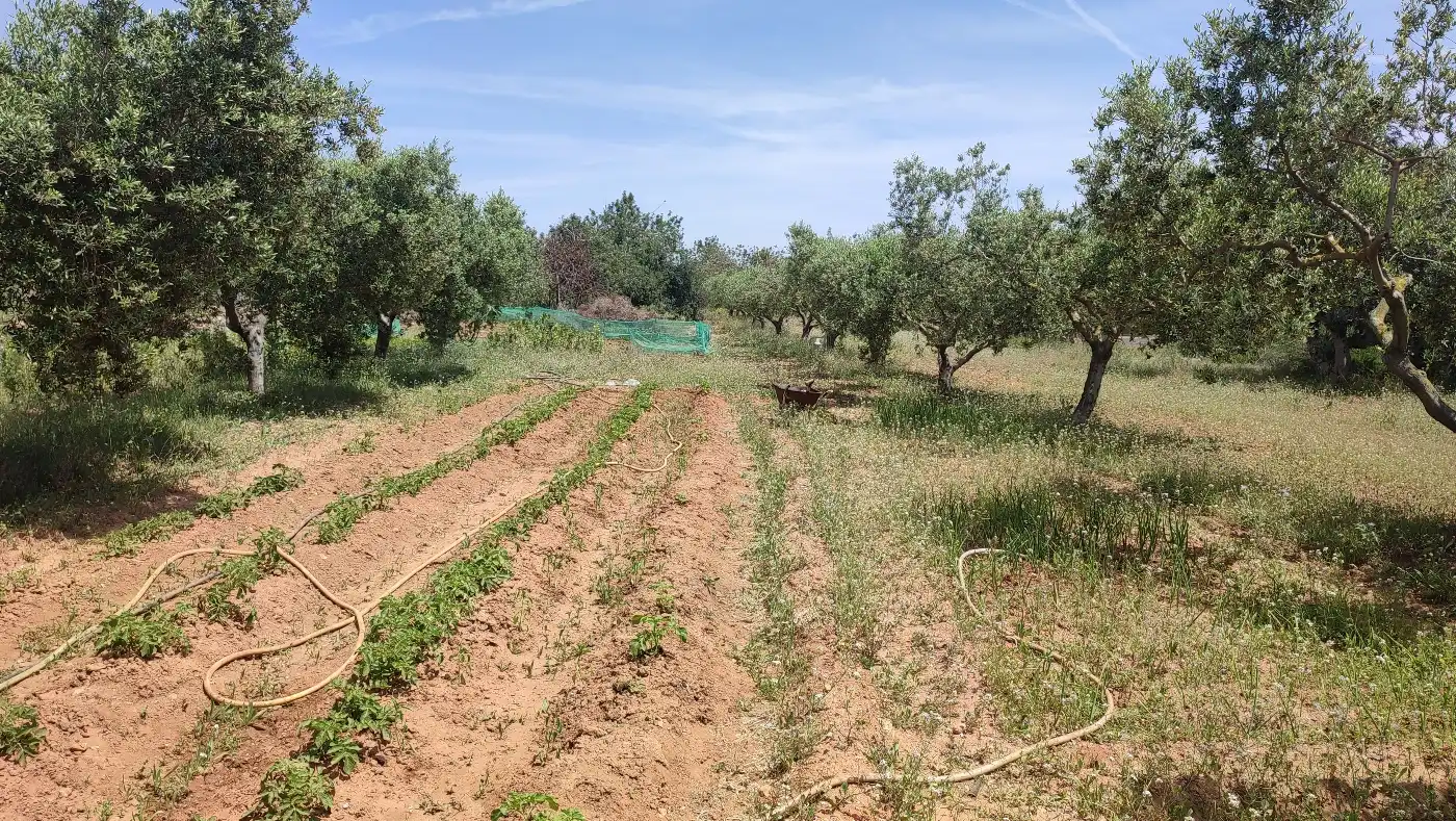 Terreno en venta en Torredembarra