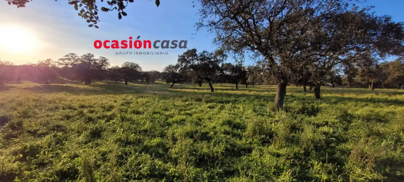 Casa rústica en venda a Pozoblanco, imagen 8