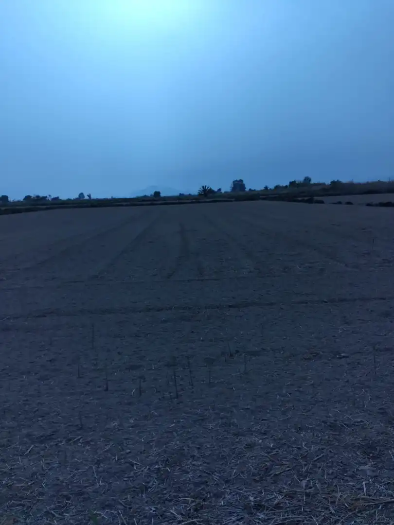 Terreno en venta en Elche / Elx