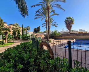 Piscina de Apartament de lloguer en  Palma de Mallorca amb Aire condicionat i Piscina comunitària