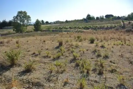 Terreno rustico in vendita a Camino Jose Vazquez Porras, imagen 3