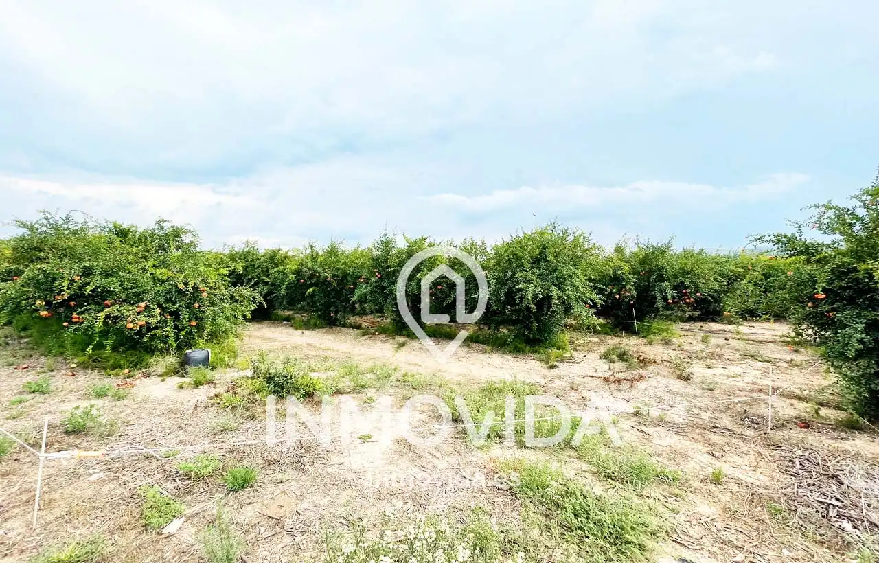 Villa con terrazza in vendita a Xàtiva, imagen 23