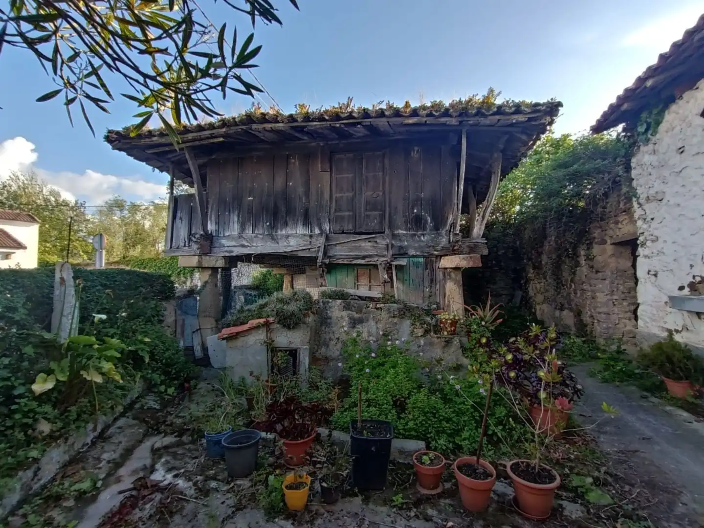 Vista exterior de Casa o chalet en venta en Castrillón con Trastero y Piscina