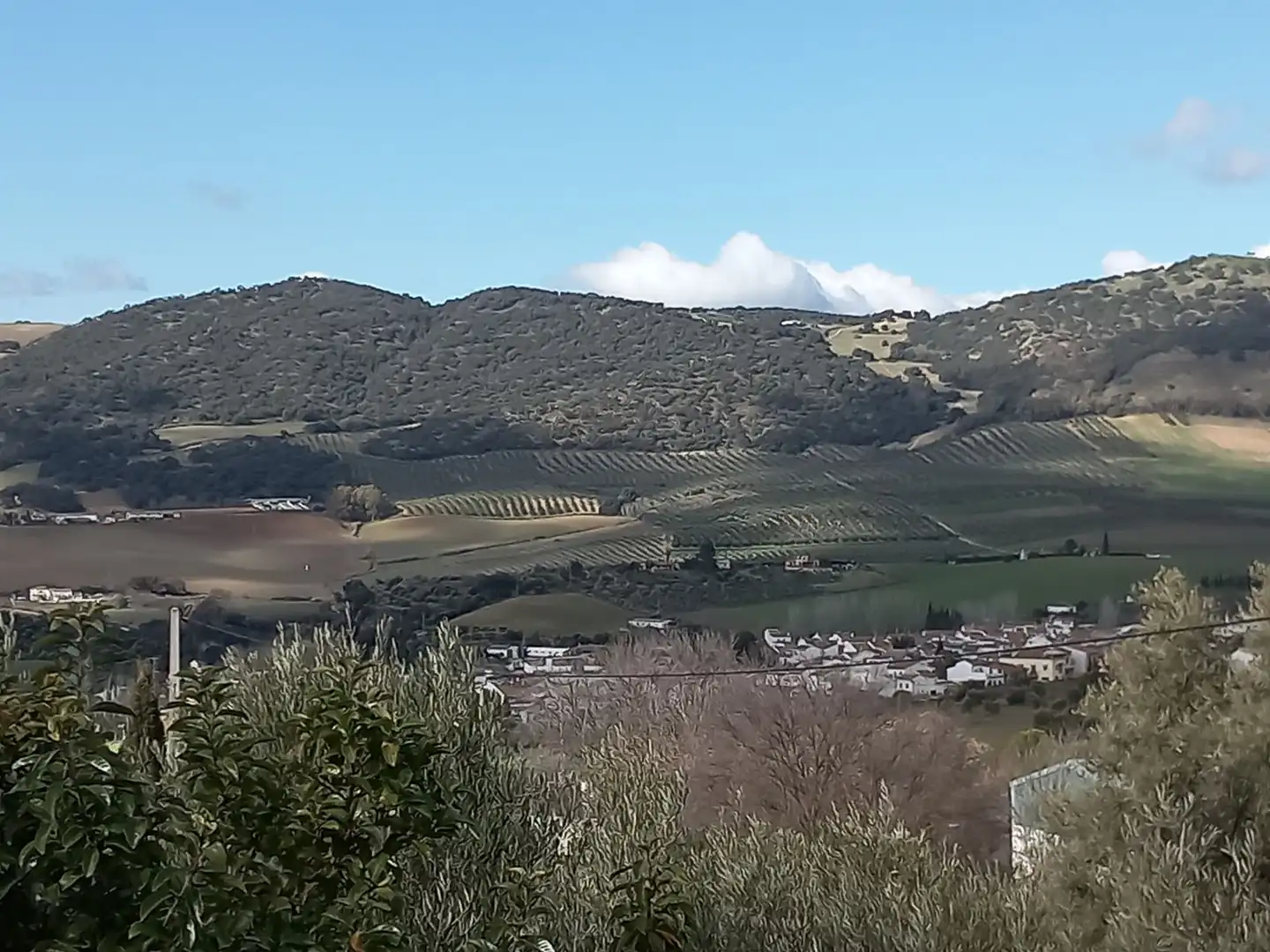 Finca rústica en venta en Arriate