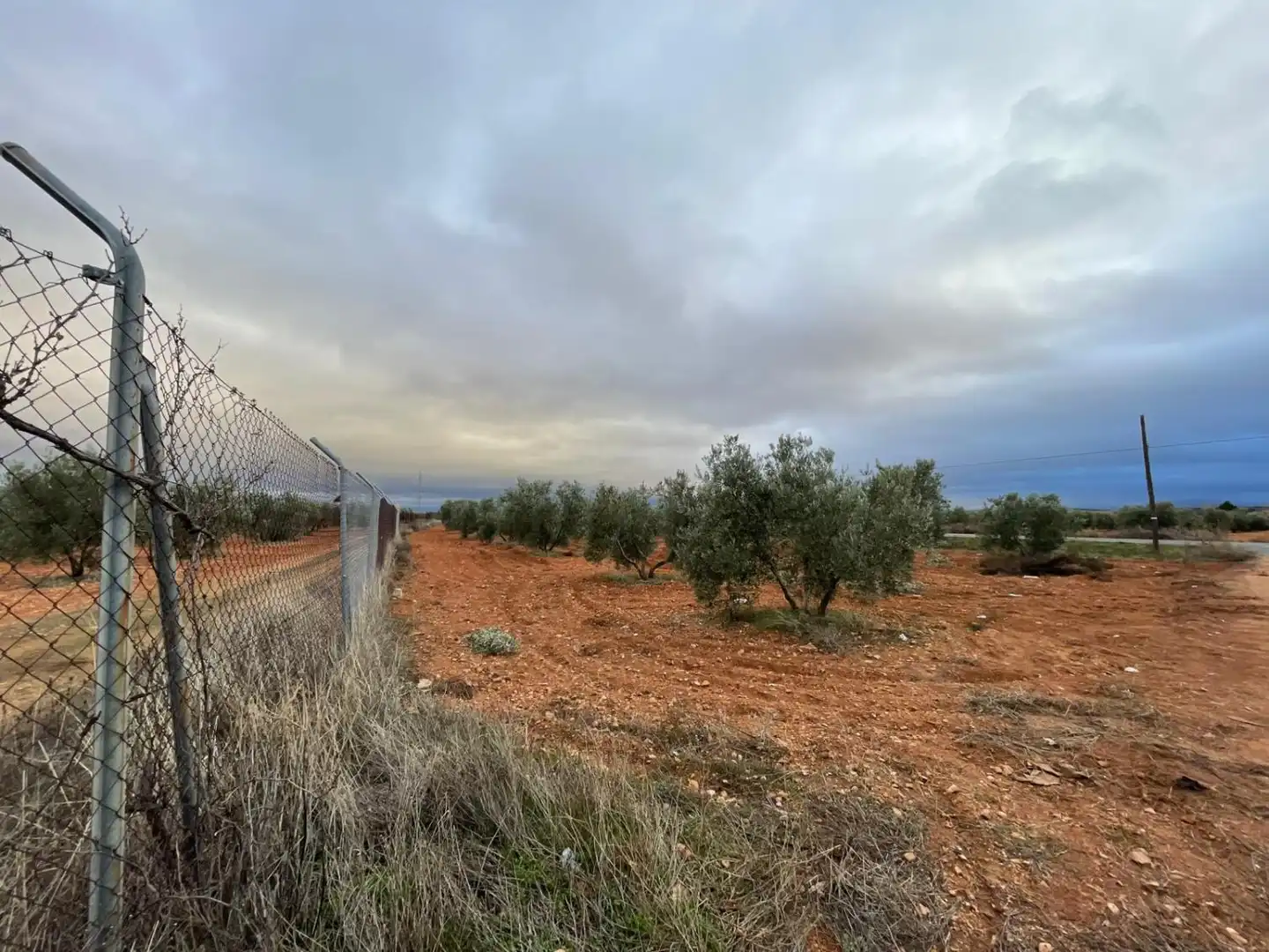 Lands and plots for sale in Valdepeñas, imagen 17