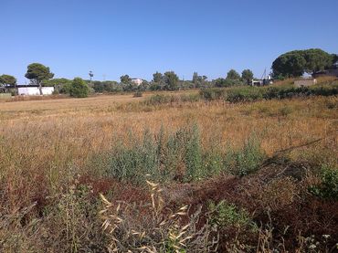 Terreno rustico in vendita a Callejón de Borreguitos