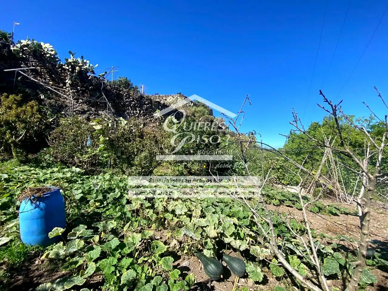 Maison rustique avec jardin à vendre à Casas de Aguilar, imagen 17