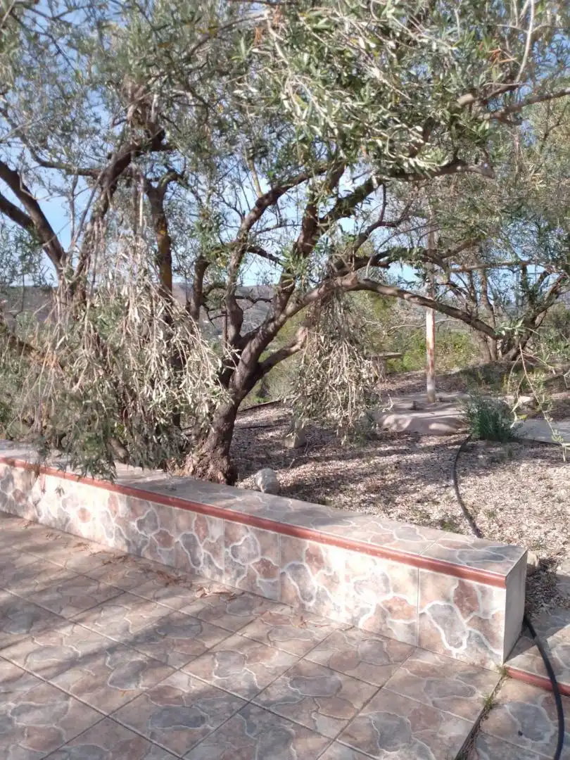 Garden of Residential for sale in Barxeta
