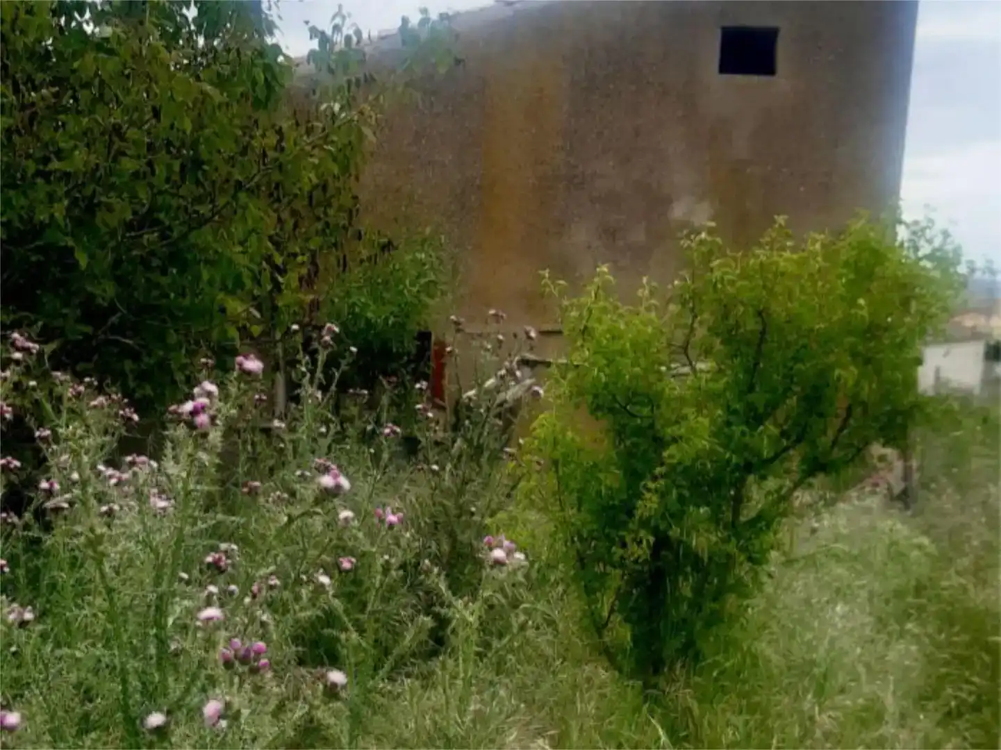 Jardí de Finca rústica en venda en Vezdemarbán
