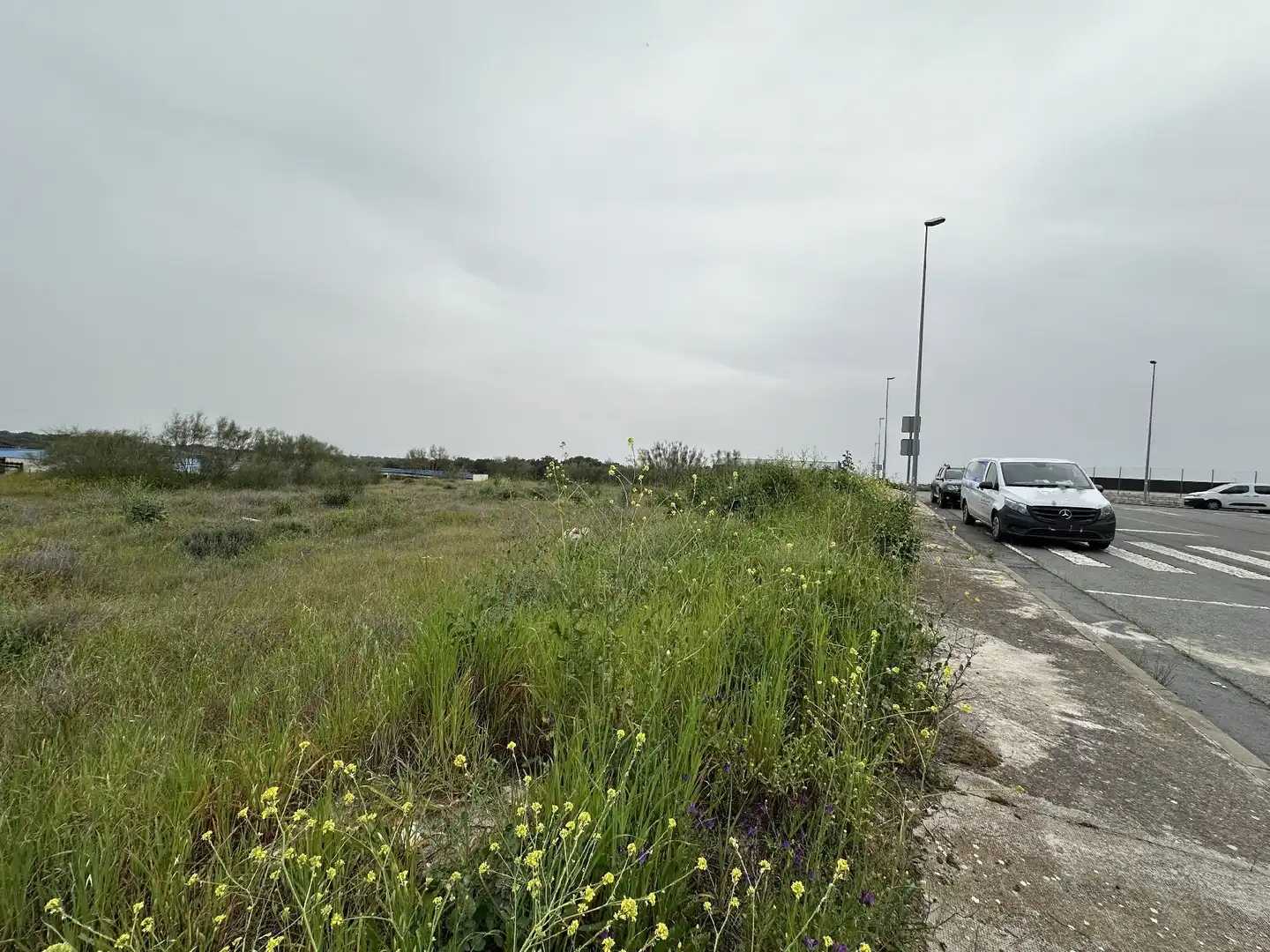 Terreni e lotti in vendita a Malpartida de Plasencia, imagen 6