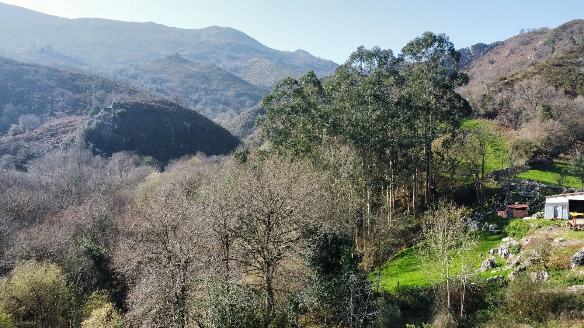 Vista exterior de Casa o chalet en venta en Llanes con Calefacción, Jardín privado y Terraza