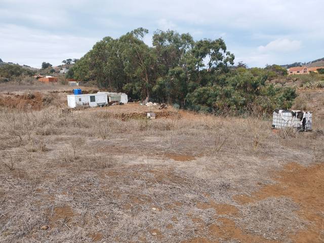 Terreno en Alquiler en Camino Mocan, 3 en La Esperanza - Llano del Moro