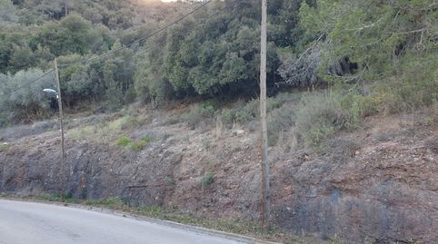 TERRENY AMB VISTES DE POSTAL!, immagine 4