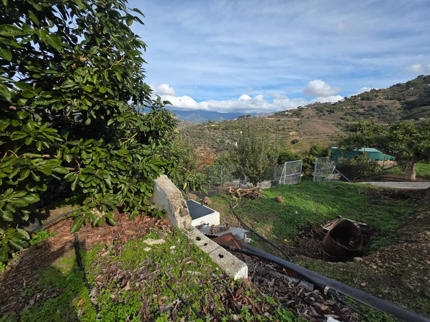 Terreny rústic en venda a Sayalonga, imagen 4