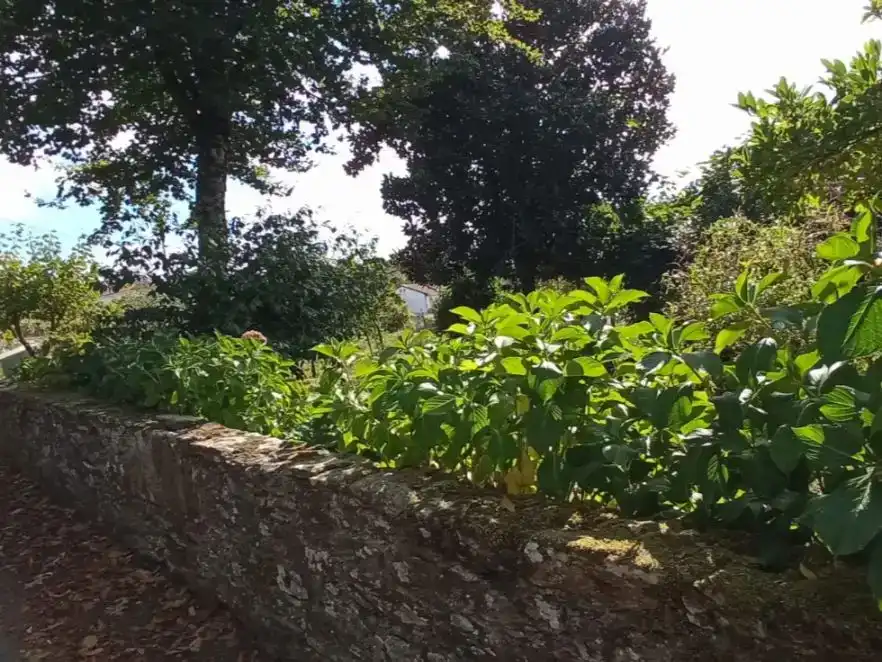 Garden of Flat for sale in Lalín, Pontevedra