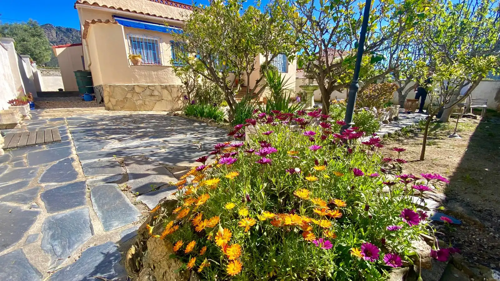 House with garden for sale in Nord, imagen 2
