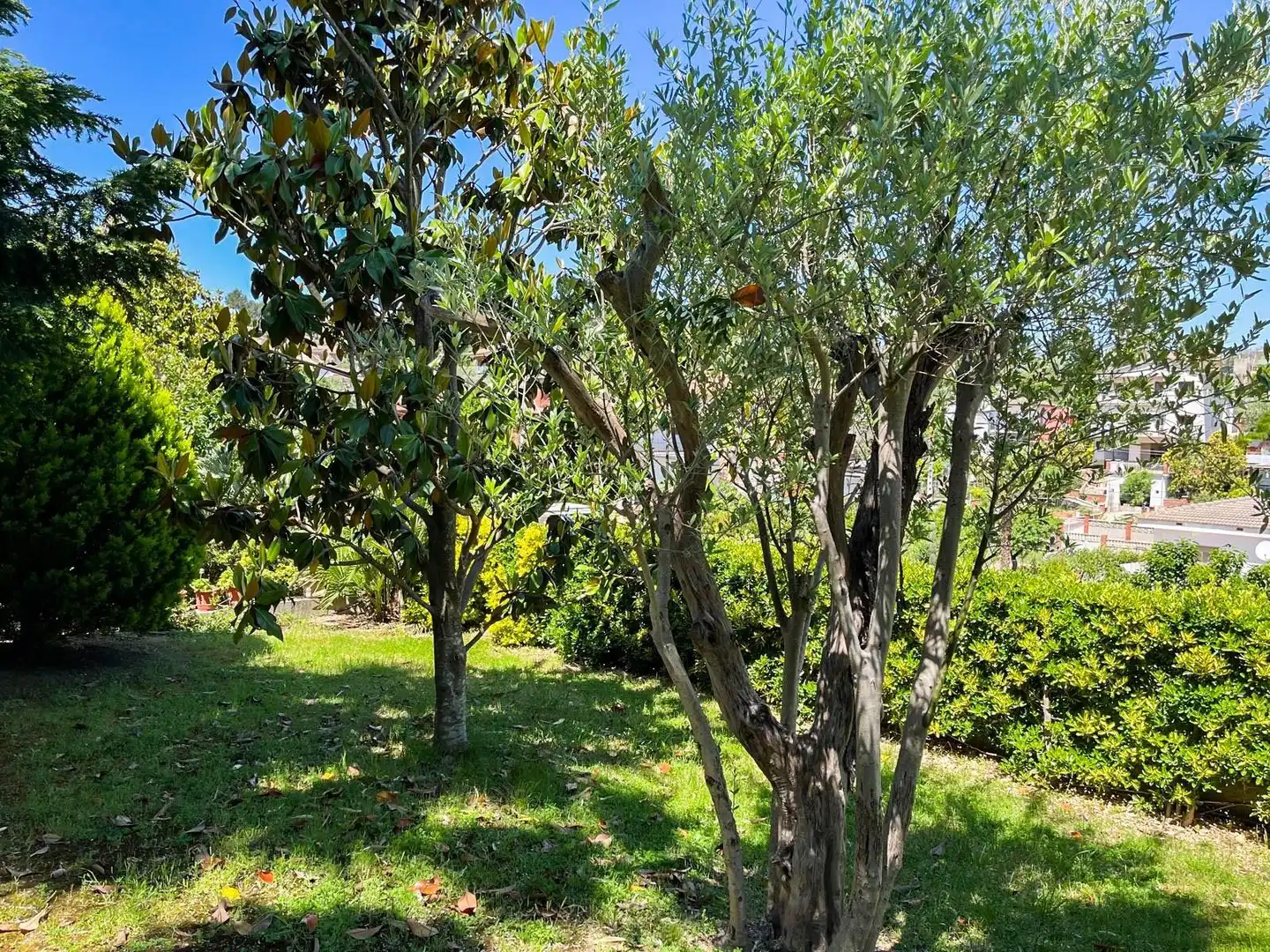 Jardí de Casa o xalet en venda en Esparreguera amb Calefacció, Jardí privat i Terrassa