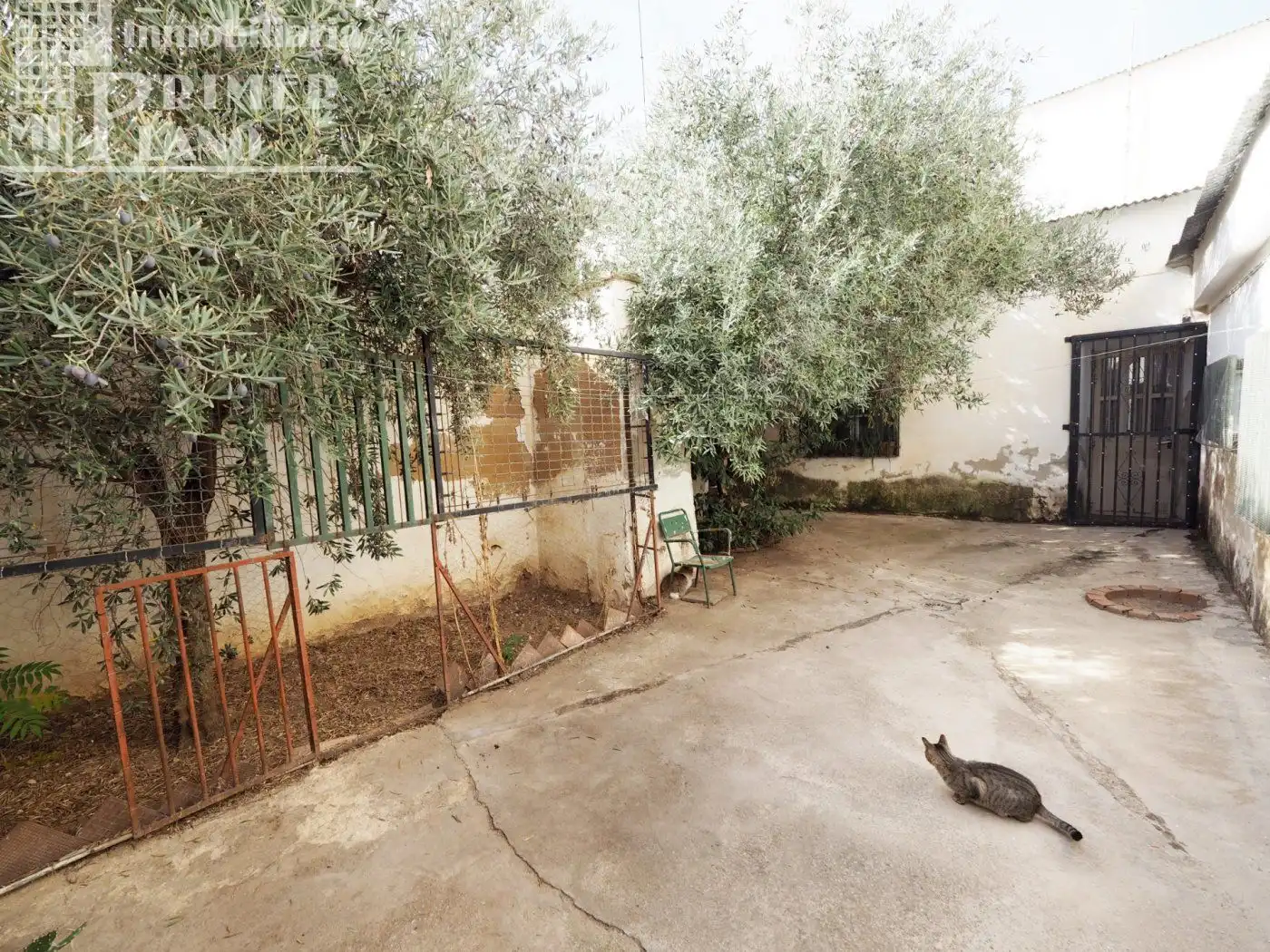Jardín de Casa o chalet en venta en Tomelloso