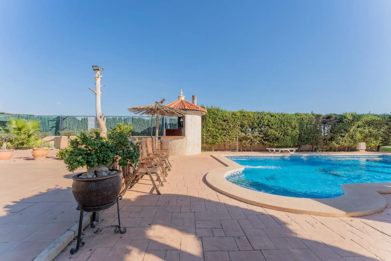 Piscina de Casa o chalet en venta en Elche / Elx con Trastero, Piscina y Balcón