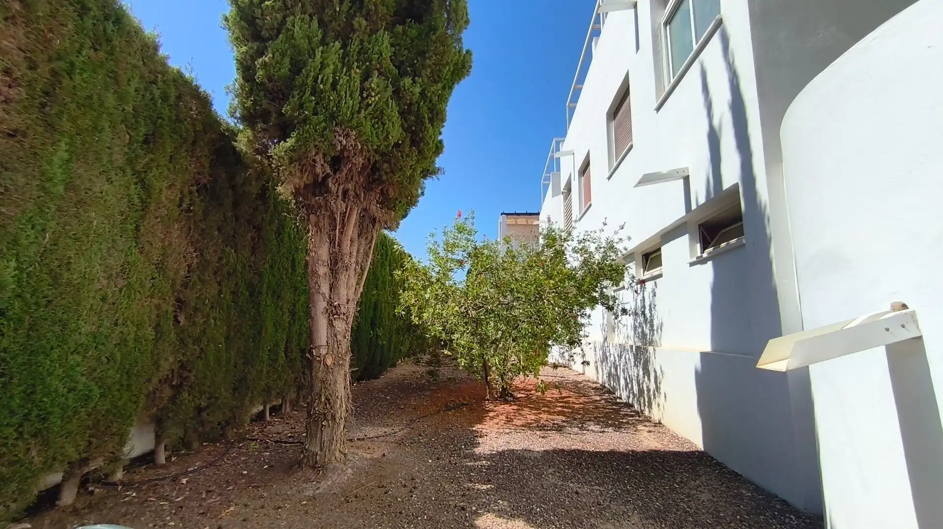 Appartement compact avec piscine à vendre à El Palmeral, imagen 14