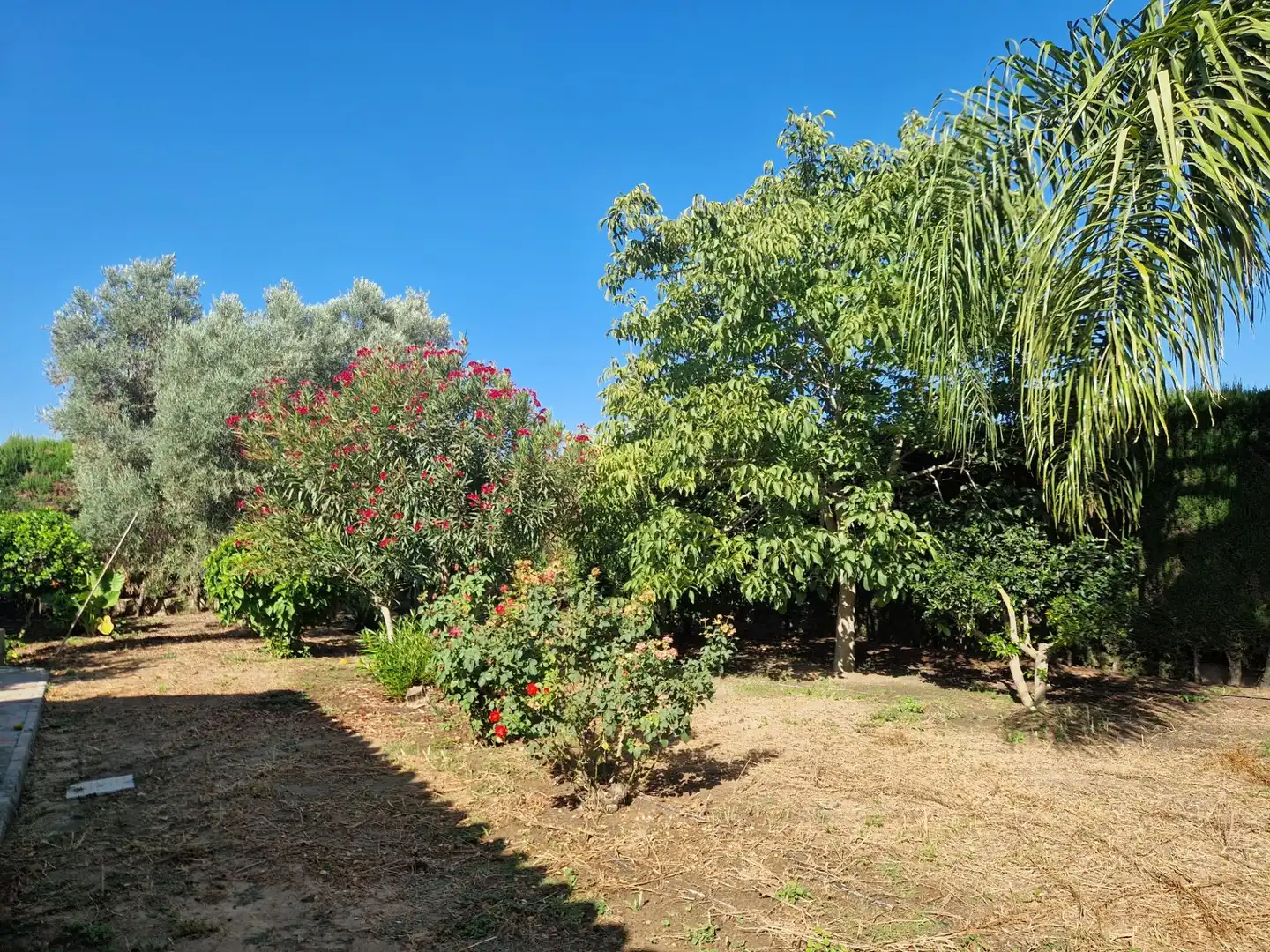 Jardín de Finca rústica en venta en Jerez de la Frontera con Aire acondicionado, Calefacción y Piscina