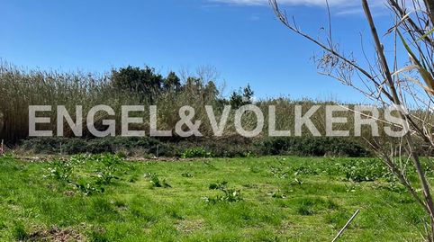 Terreno agrícola y forestal muy cerca de Geldo, immagine 5