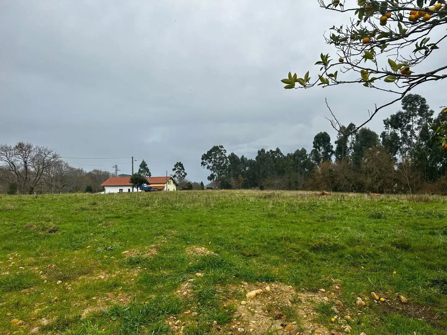 Casa o chalet en venta en Ribadesella con Jardín privado y Terraza