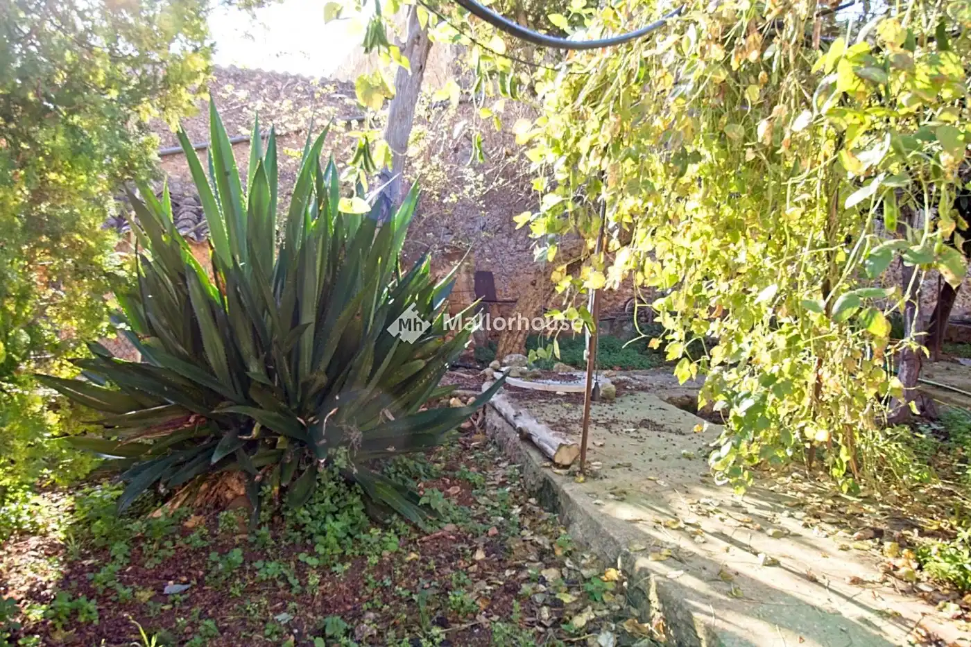 Jardí de Finca rústica en venda en  Palma de Mallorca amb Jardí privat, Terrassa i Traster
