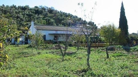 Foto 4 de Finca rústica en venda a El Gastor, Cádiz