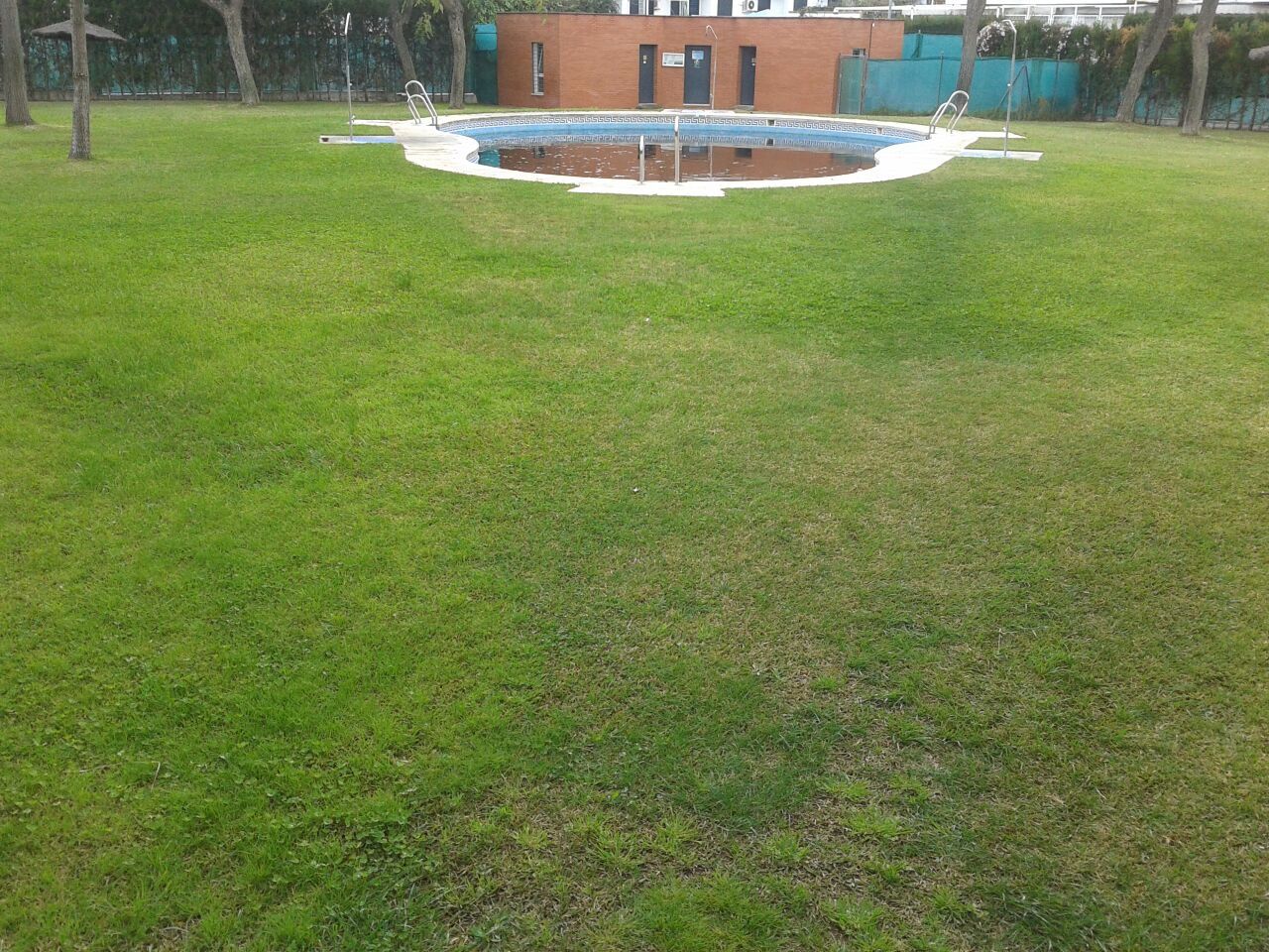 Swimming pool of Flat to rent in Mairena del Aljarafe  with Community pool