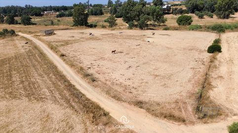 FINCAS RÚSTICAS EN TRIGUEROS, immagine 5