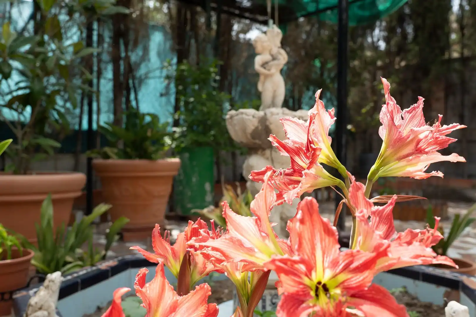 Jardín de Casa o chalet en venta en Jaén