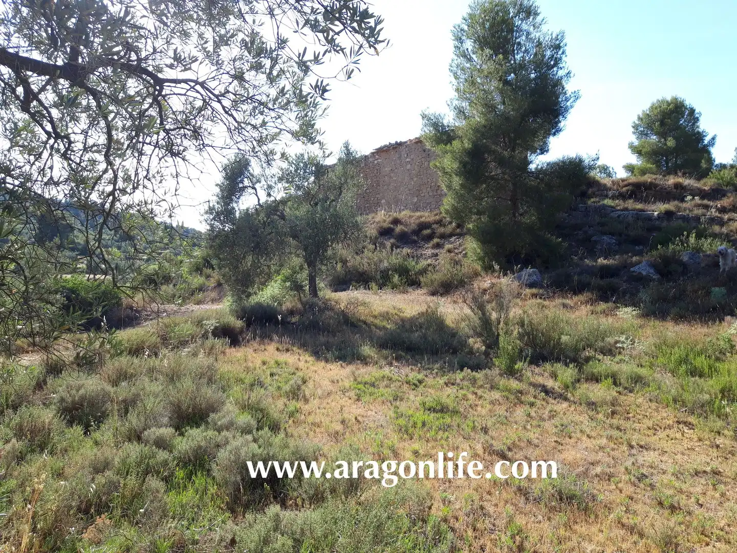 Terreni e lotti in vendita a Mazaleón, imagen 18