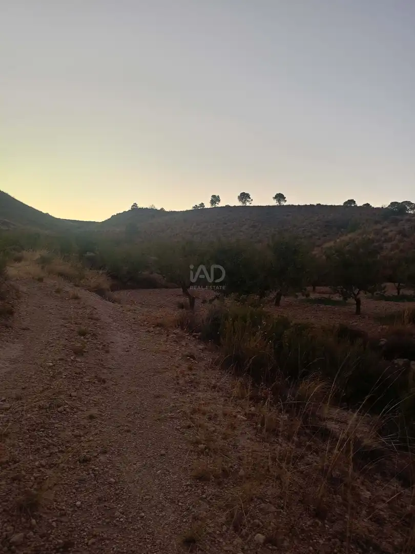 Country homes for sale in Lorca