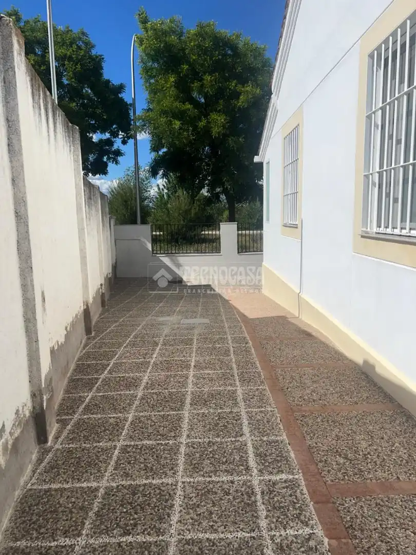Vista exterior de Casa o chalet en venta en Madrid con Jardín privado y Alarma