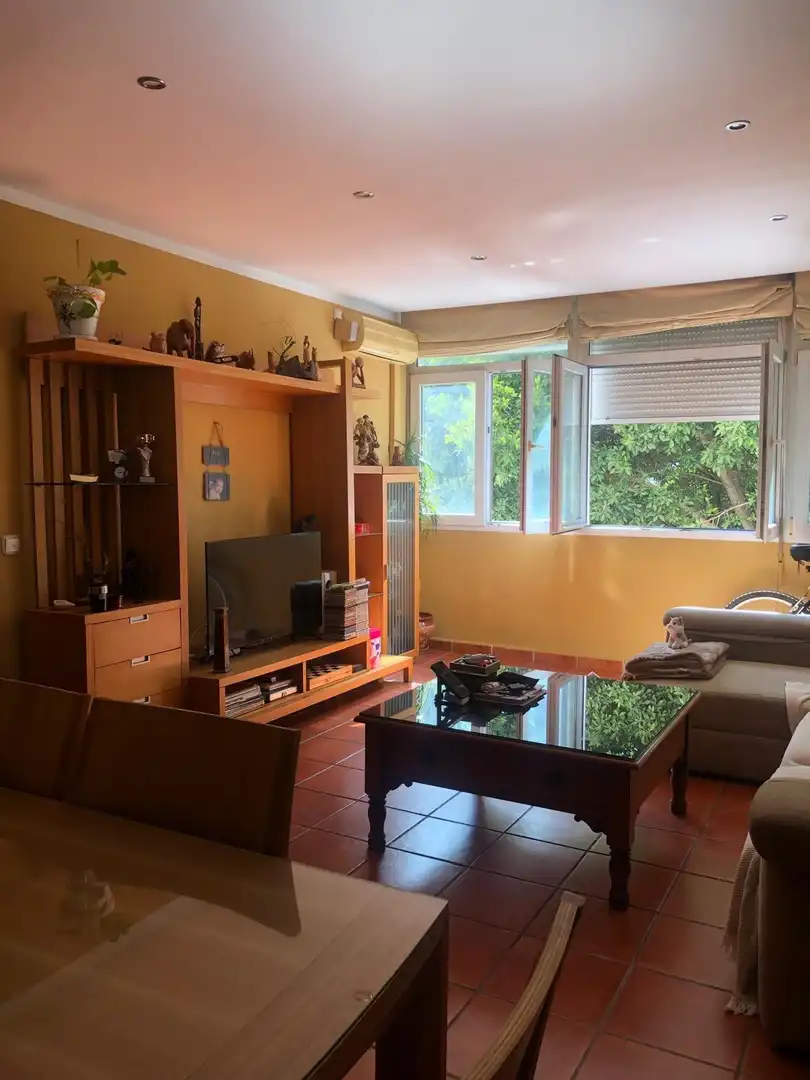 Sala de estar de Piso en venta en Málaga