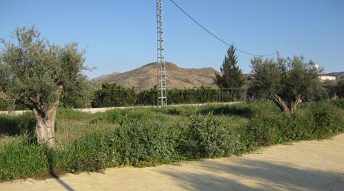 Foto 2 de Finca rústica en venda a N/a, -1, Granja de Rocamora, Alicante
