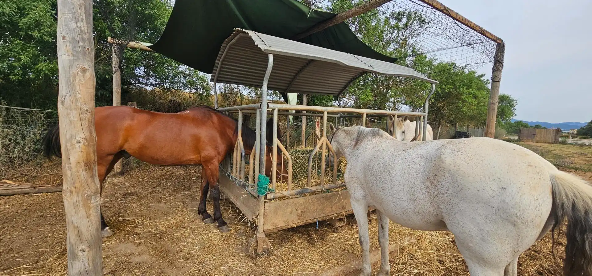 Casa o chalet en venta en Lliçà d'Amunt