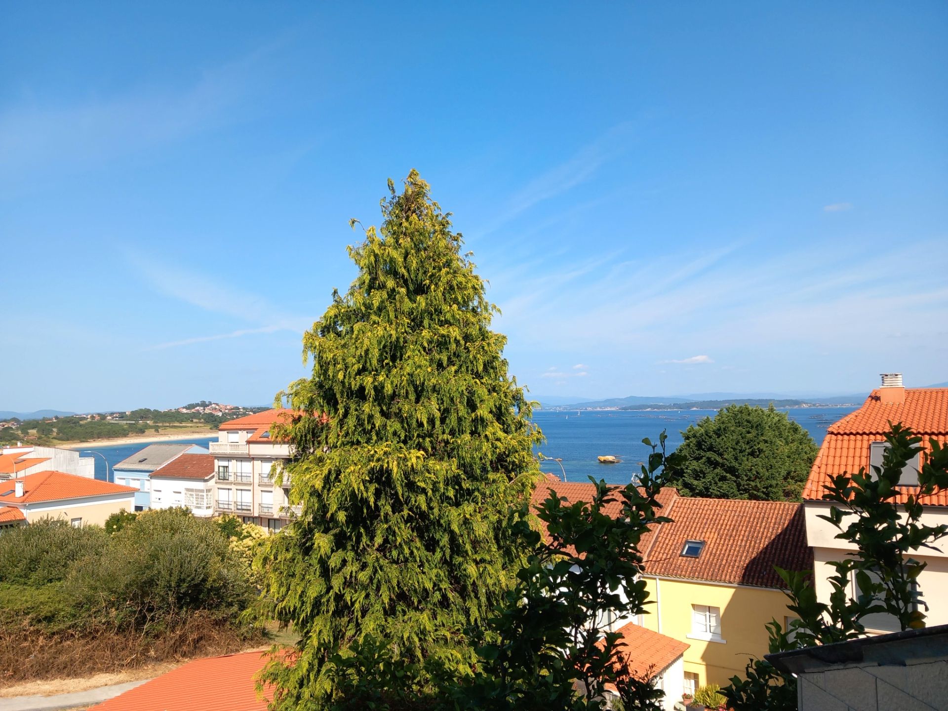 Vista exterior de Casa o chalet en venta en Ribeira con Jardín privado, Trastero y Balcón