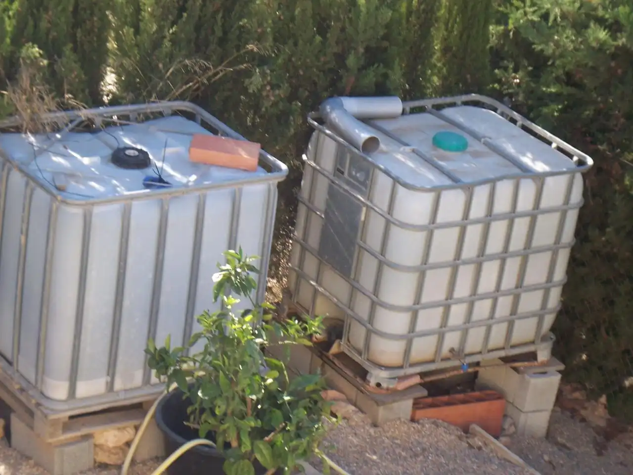 Jardí de Casa o xalet en venda en Cartagena amb Calefacció, Jardí privat i Terrassa
