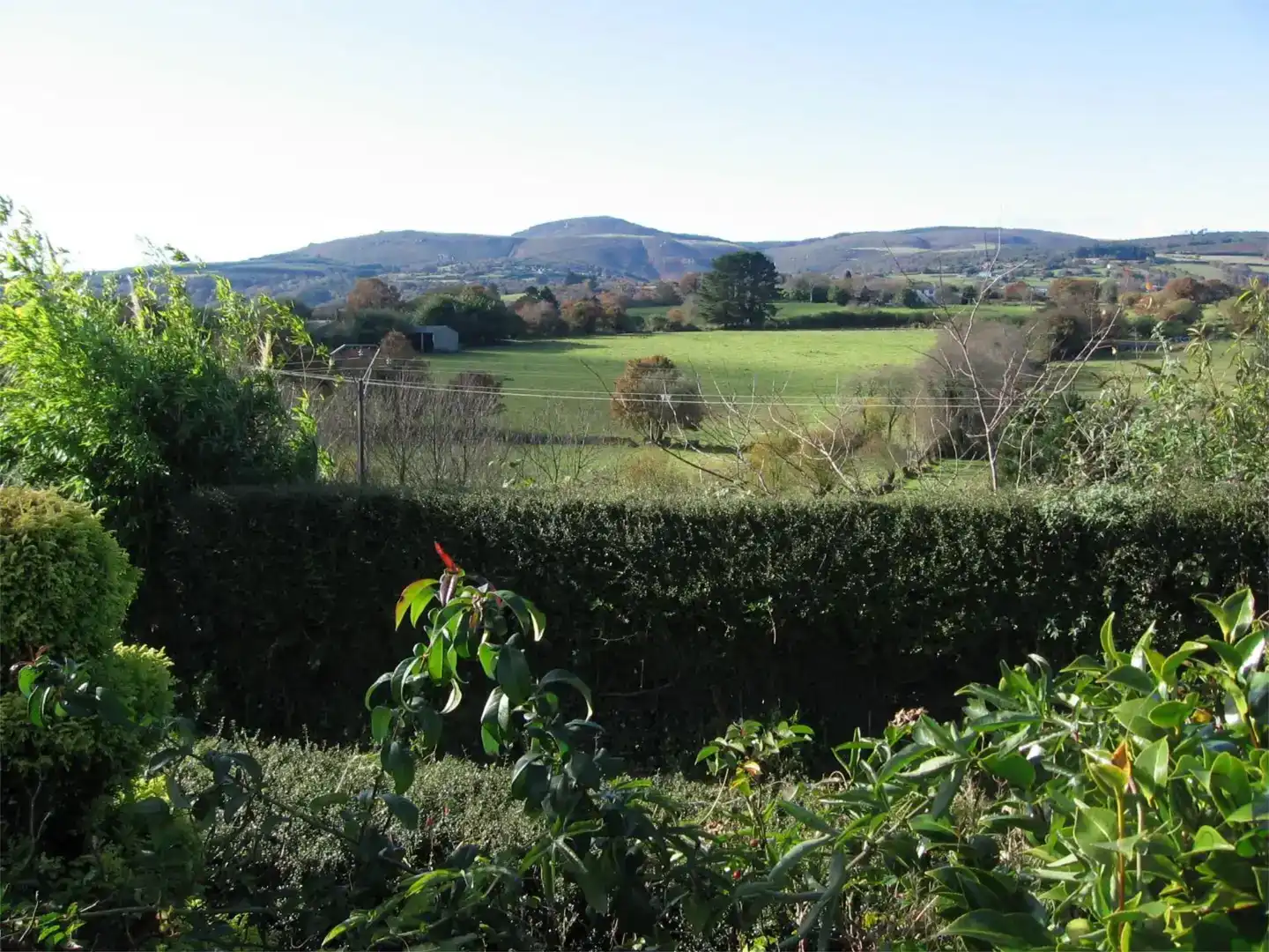Jardín de Terreno en venta en Abadín