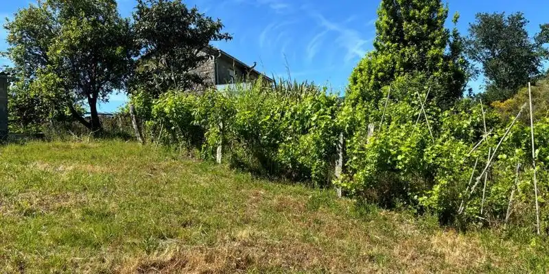 Casa o chalet en venta en Ponte Caldelas con Jardín privado y Trastero