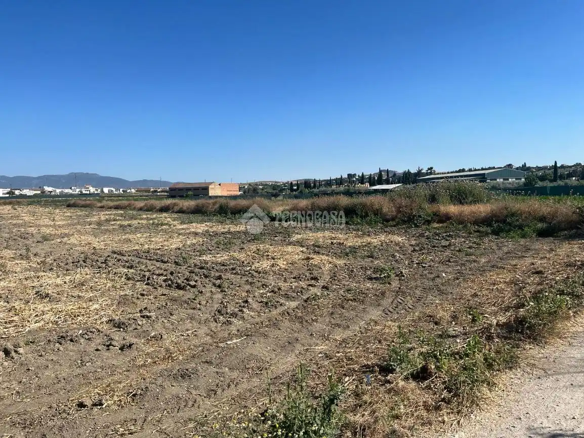 Terreni e lotti in vendita a Cúllar Vega, imagen 9