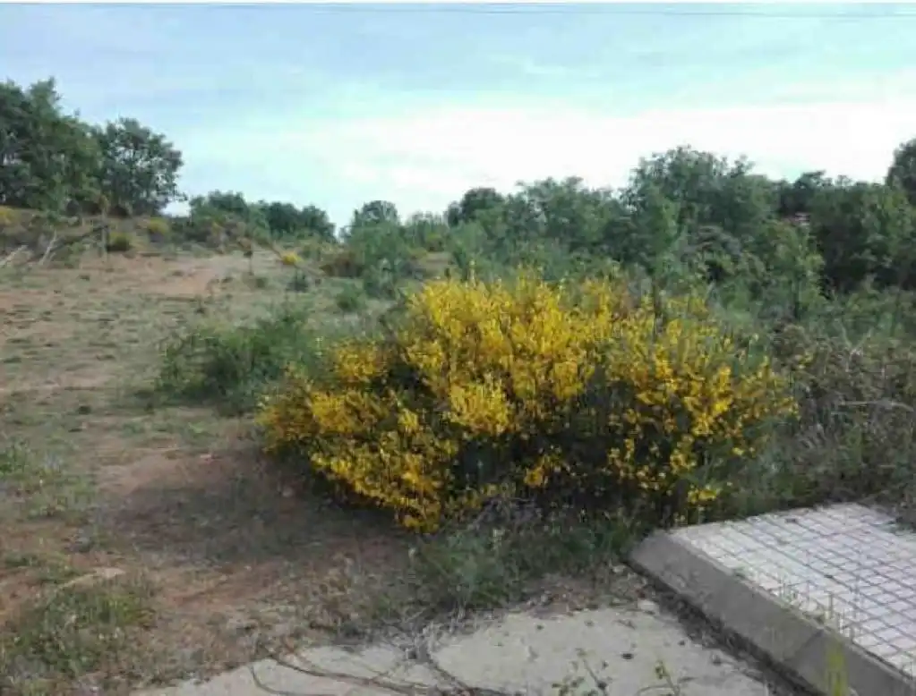 Terreno rustico in vendita a CIUDAD RODRIGO, imagen 5