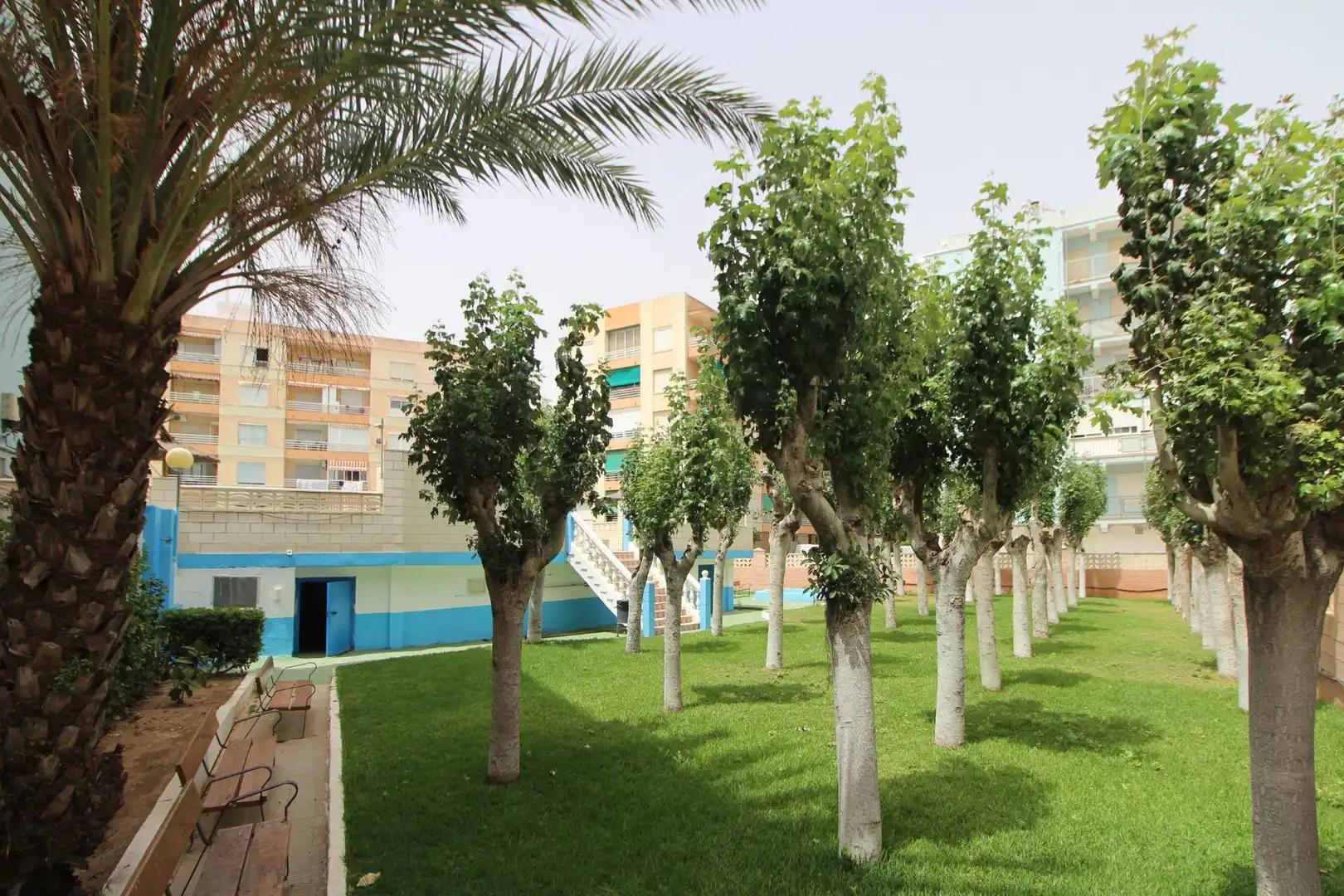Apartament amb terrassa en venda a Platja de la Pobla de Farnals, imagen 21